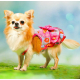 Платье "Цветы" для собак мелких пород ForMyDogs, серо-розовое, размер 8/XXS 