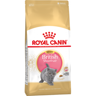 ROYAL CANIN British Shorthair Kitten сухой корм для котят породы Британская короткошерстная, 400 г 